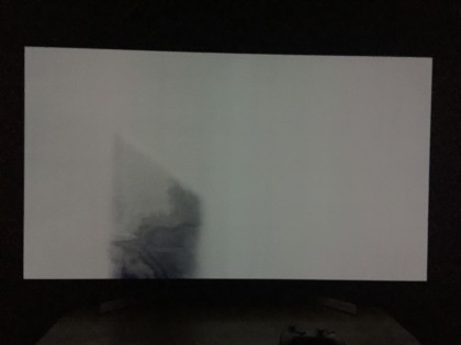 LG OLED sunlight burin-in 1.jpg