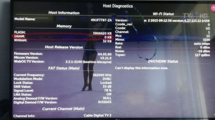 host diagnostic.jpg