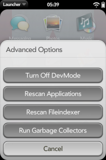 Advanced Options in Launcher.png