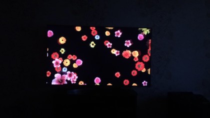 IMG_0076.JPG (48.71 КБ) Просмотров: 3706 IMG_0076.JPG