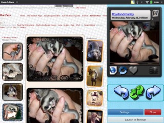 peekadash_2012-29-03_164627.jpg