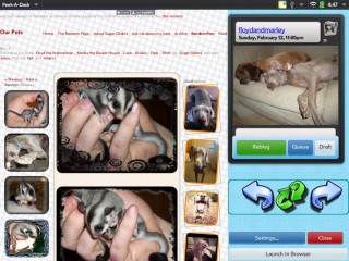 peekadash_2012-29-03_164701.jpg