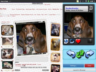 peekadash_2012-29-03_164809.jpg