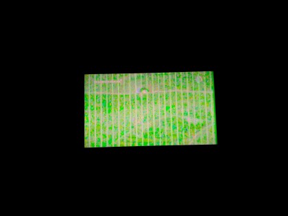 IMG_20200409_001849.jpg (1.14 МБ) Просмотров: 3820 IMG_20200409_001849.jpg