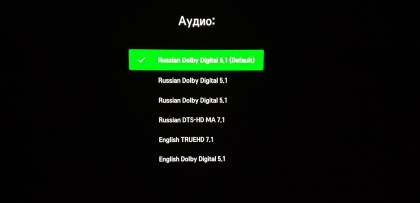 Emby LG TV audio track change screen.jpg