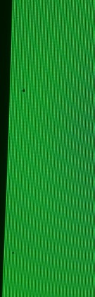 20200605_232142.jpg