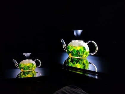Samsung F6400 vs LG OLED CX 07.jpg