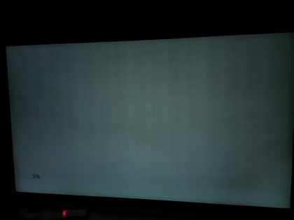 LG OLED 65CX banding 5 percent.jpg