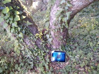 632764979.jpg (1.07 МБ) Просмотров: 6804 632764979.jpg