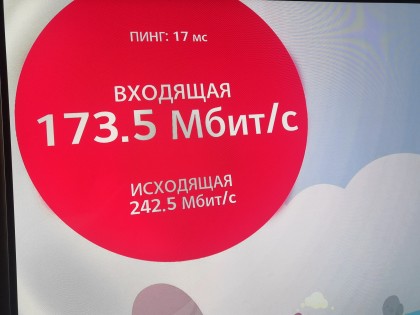3174901.jpg