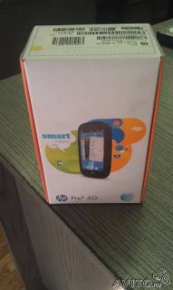 palm1.jpg