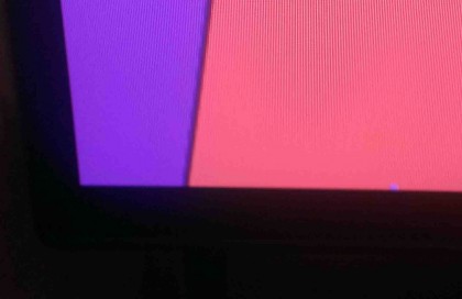 Bug3.jpg