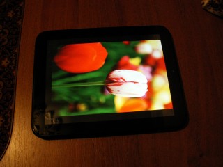 PICT0325.JPG