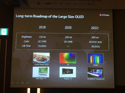 LG Display - Long-term Roadmap of the Large Size OLED 2018-2022.jpg