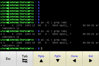 wterm_2012-31-10_095244.png