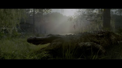 Annihilation.2018.UHD.BDRemux.2160p.DV.IVA(5xRUS.UKR.ENG).ExKinoRay.mp4_snapshot_00.36.33.178 HDR.jpg