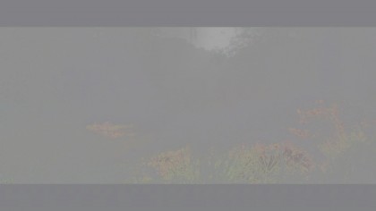 Annihilation.2018.UHD.BDRemux.2160p.DV.IVA(5xRUS.UKR.ENG).ExKinoRay.mp4_snapshot_00.36.33.178.jpg