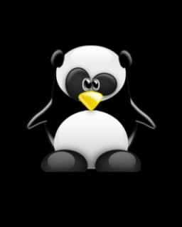 Panda-Veer-Black.png