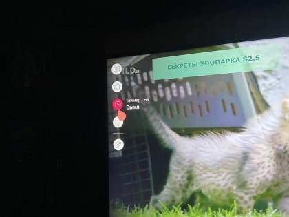 photo_2021-01-26_15-12-29 (3).jpg (56.34 КБ) Просмотров: 5507 photo_2021-01-26_15-12-29 (3).jpg