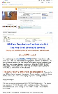 Palm_Touchstone_2 _ebay.jpg