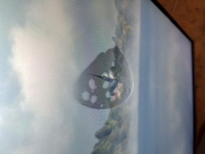 D348D4B5-5CA7-49E4-8798-0C0654A0F0F5.jpeg