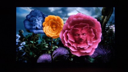 color2.jpg