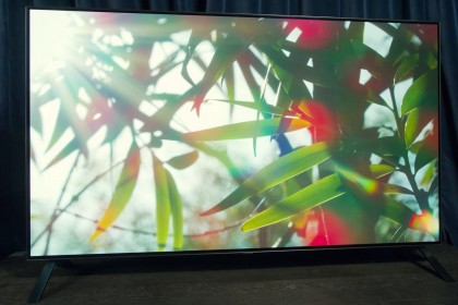 LG OLED 55A1.jpg