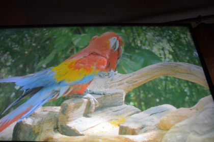 DSC_0006.JPG