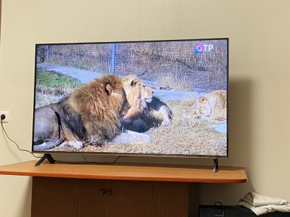 IMG_0977.JPG (1.03 МБ) Просмотров: 2827 IMG_0977.JPG