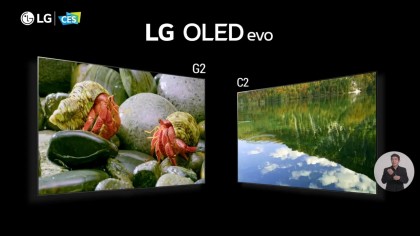 LG OLED Evo 2022.jpg