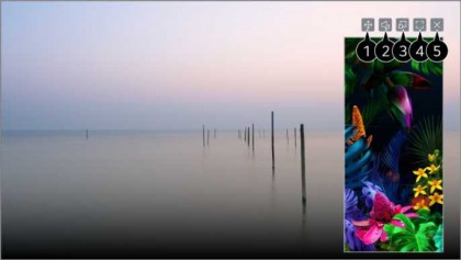 screen-share-miracast-a-televizore-lg-s-webos-2021-goda.jpg (18.4 КБ) Просмотров: 3422 screen-share-miracast-a-televizore-lg-s-webos-2021-goda.jpg