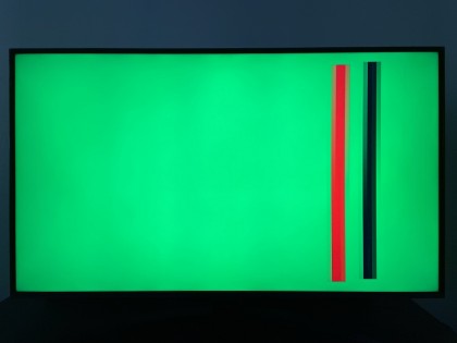 IMG_4223.JPG