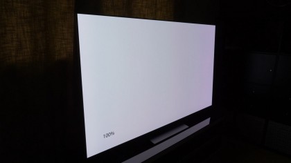 LG G2 OLED Evo Tint.jpg