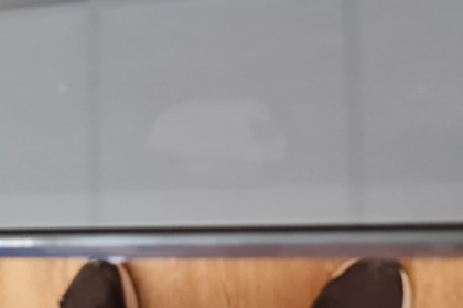 20220710_153616.jpg
