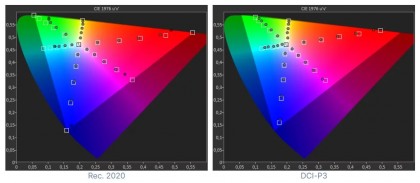 televizor-lg-oled-a2-pokrytie-cvetovyh-prostranstv-rec-2020-i-dci-p3.jpg