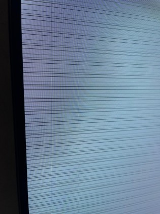 058AD73C-F6D8-4614-BFE6-BA9F6D698B30.jpeg