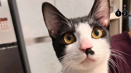 podklyuchenie-kamery-k-televizoru-lg.jpg (37.95 КБ) Просмотров: 1590 podklyuchenie-kamery-k-televizoru-lg.jpg