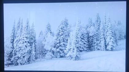 IMG_20230531_063652.jpg (665.4 КБ) Просмотров: 2106 IMG_20230531_063652.jpg