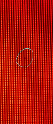 Screenshot_20230614_213554_Gallery.jpg (1.38 МБ) Просмотров: 1885 Screenshot_20230614_213554_Gallery.jpg