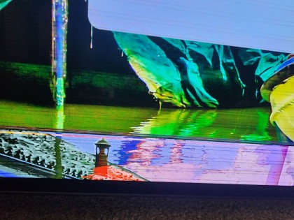 gorizontalnaya-polosa-na-televizore-lg-oled-c1-remont-2.jpg