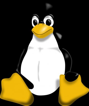 136524_linux-tux-2000x2386-wallpaper_www.wall321.com_17.jpg