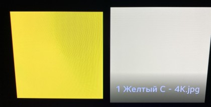 IMG_0822.jpeg