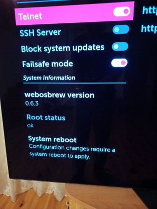 root.jpg