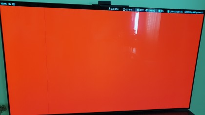 20240131_121512 3.jpg