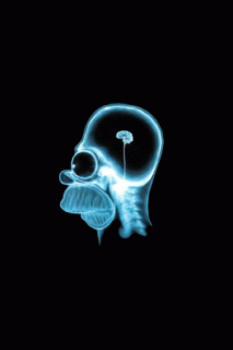 ss-bootlogo.gif