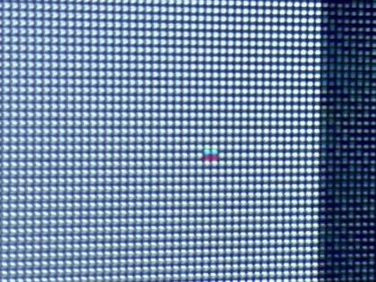 IMG_4387.jpeg