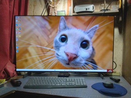 LG OLED42C4 PC monitor.jpg