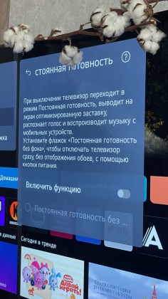 Imported-Photo-758890789-497036.jpg