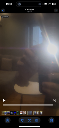 IMG_0269.png