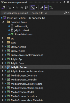 Jellyfin 10.10.7 projects - Снимок экрана 2025-08-17 171419.png